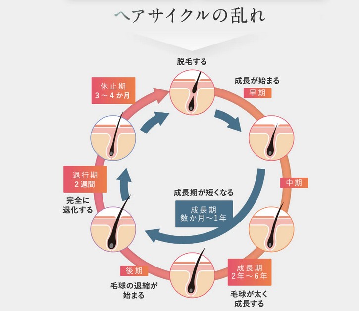 �X�J���v�}�b�T�[�W�w�A�G�b�Z���X�yROOT BEAUTE�z�ɂ���